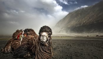 nubra-valley-trek-ladakh